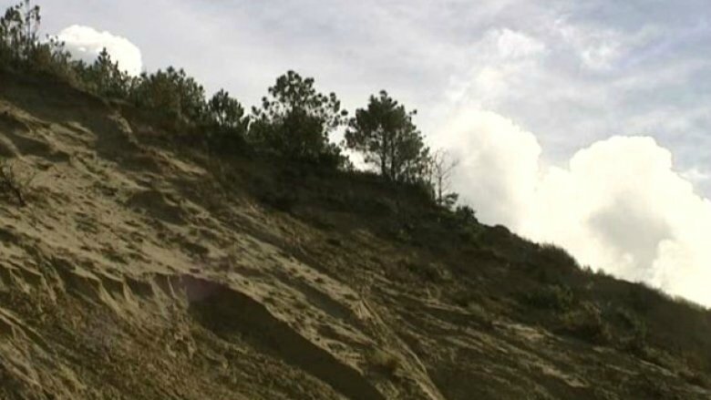 Photo-3_40_3