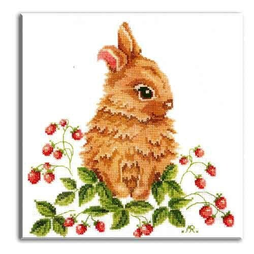le lapin 639