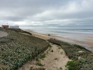 ob_99de88_plage-biscarrosse-02-2016-7