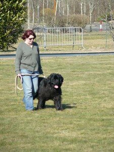 club rencontre chien