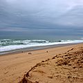 Un 30 décembre sur la côte sud des Landes avec le Club des Cèpes