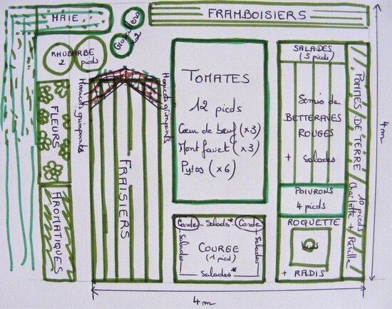 plan potager debutant plan potager debutant