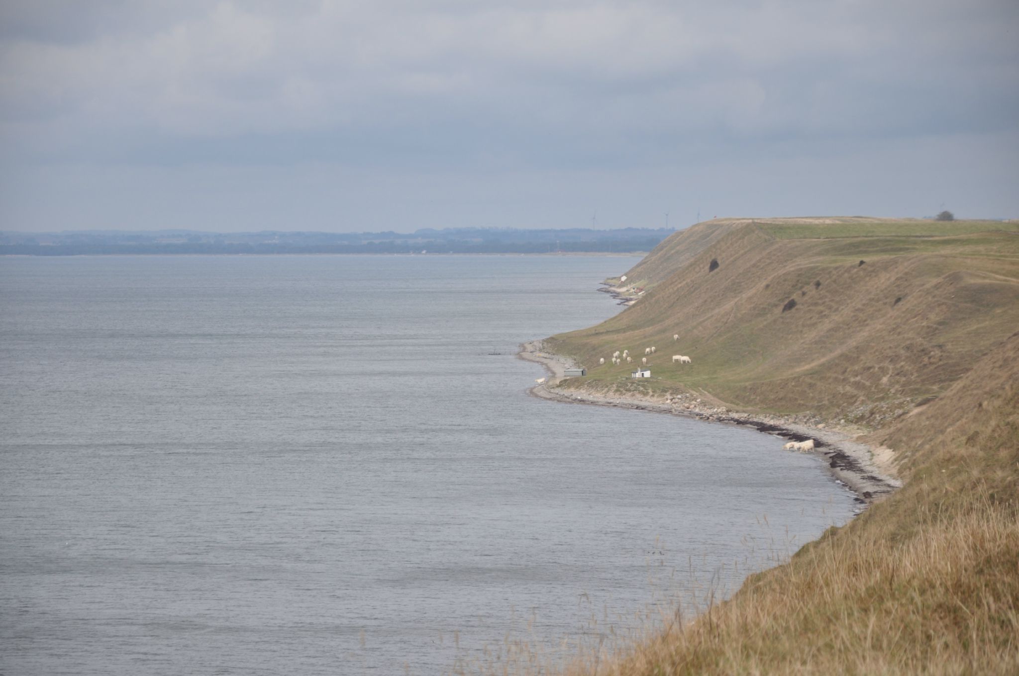 DSC_1326