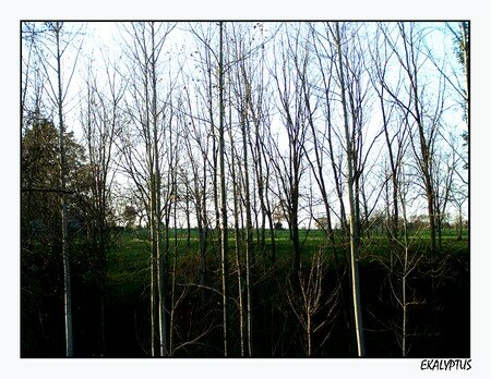 NATURE