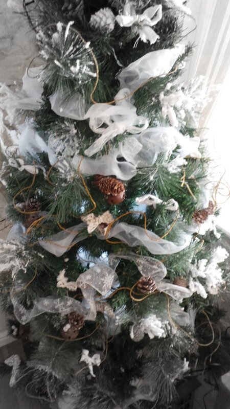20151226_113355.JPG