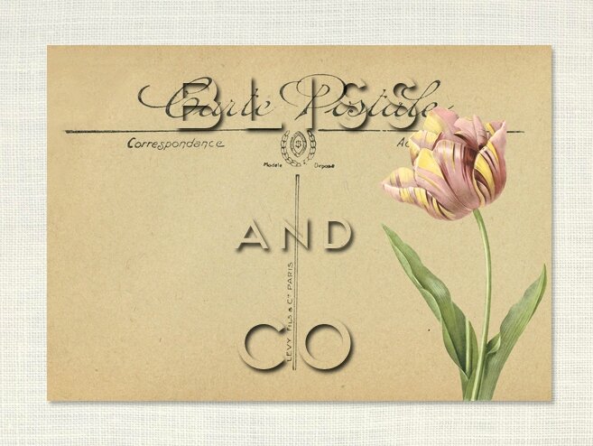 Transfert tissu textile Bliss and Co n°10