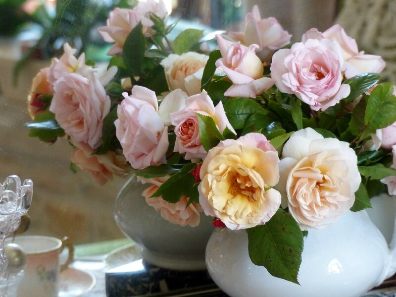 bouquet 2016 (12)