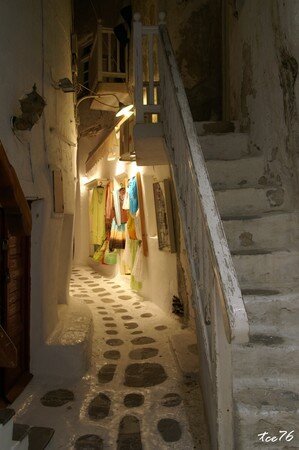PICT2223_20