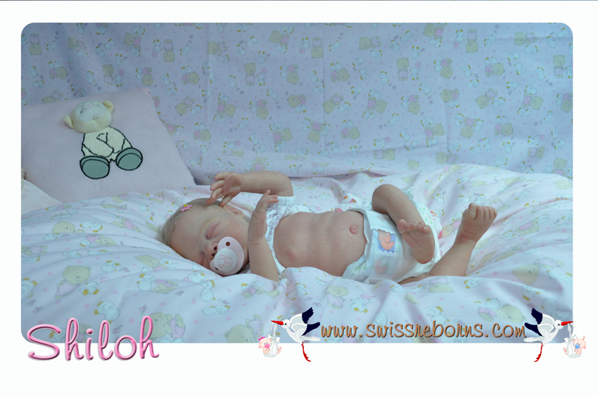 DSC_0046_modifie__1