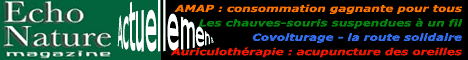 banniere_echo_468_60