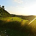 Impression soleil couchant sur balles de foin...