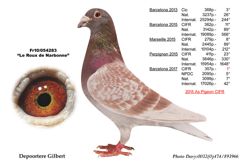 Depoortere Gilbert