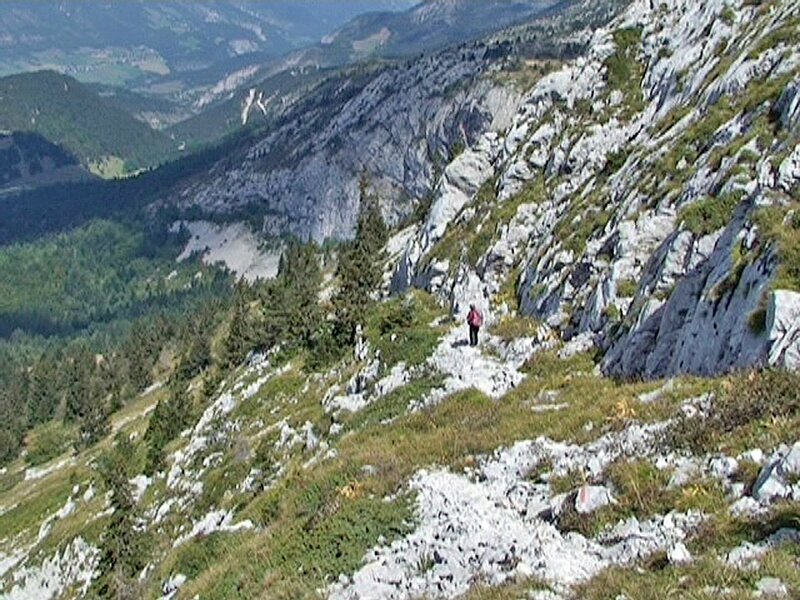 sous les dernières falaises