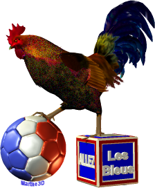 018-logo-mondial-football-2014-ballon-coq-rooster-allez-France