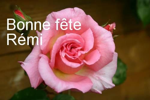 Bon Mercredi 82820676_p