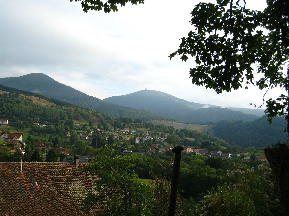 rencontres et racines 2012 Découvrez les dates des prochaines rencontres régionales d'arboriculture et du championnat européen 2018 pour ne rater aucun rendez-vous décembre 2012. rencontres et racines 2012 Découvrez les dates des prochaines rencontres régionales d'arboriculture et du championnat européen 2018 pour ne rater aucun rendez-vous décembre 2012.