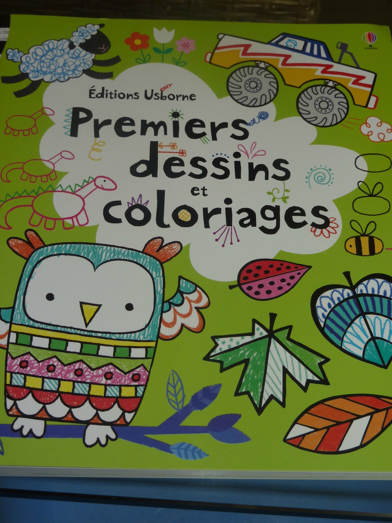 Livre de gribouillages coloriages Mes jumeaux et moi le Livre de gribouillages coloriages