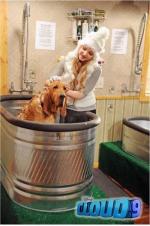 cloud_9_toilette_chien
