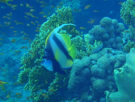 P8211578