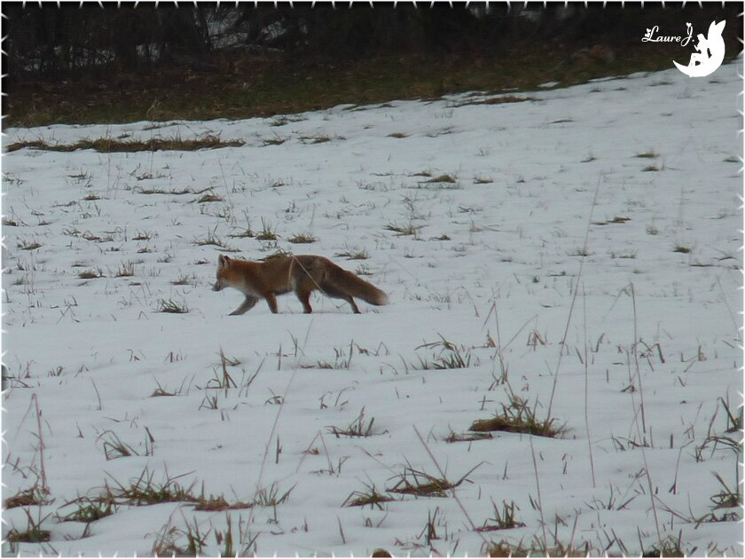 Rencontre magnac bourg