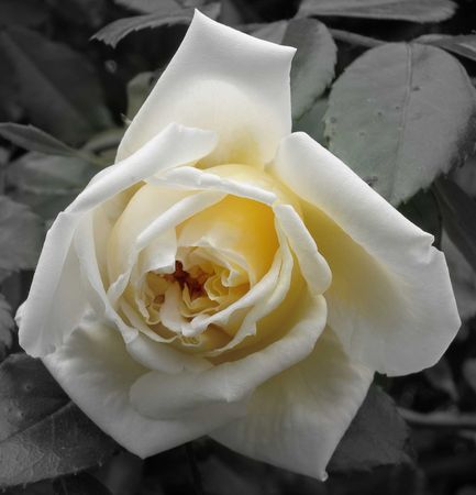 DSCN3929