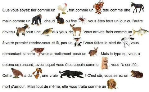 expressions contenant des noms d'animaux