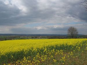 vallée du viaur 035