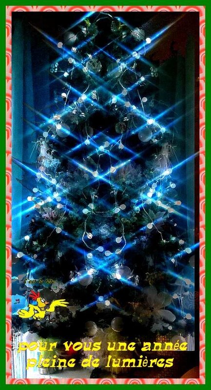 WP_20171225_10_49_30_Pro