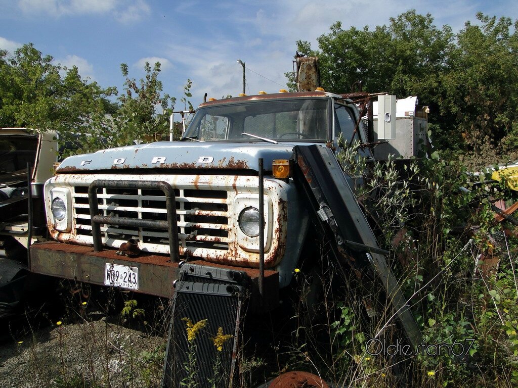 1973 Ford f700 #6