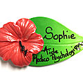 AMP, EDUCATEUR DE JEUNES ENFANTS, CAP PETITE ENFANCE