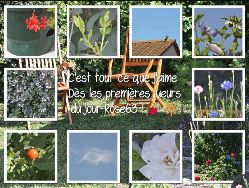 lueurs du jour Juillet 2018