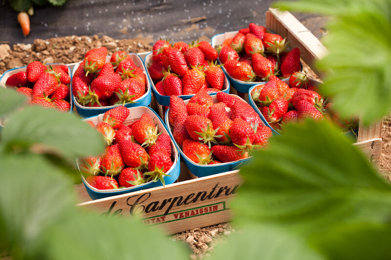 fête de la fraise