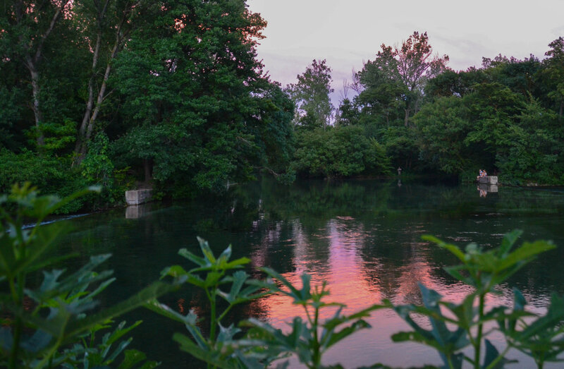 DSC_8489