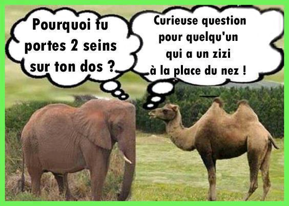 Zouk mail rencontre