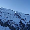 Etale-chauchefoin-11-fev-2017