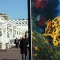 Etranges rencontres sur la prom'