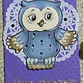 7 - Collection Cartes Chouettes